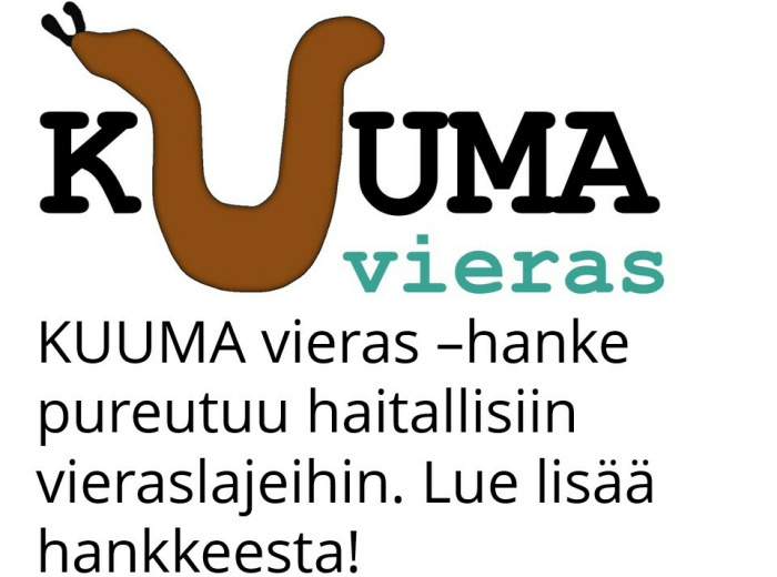 Logo ja linkki KUUMA vieras -hankkeen sivuille