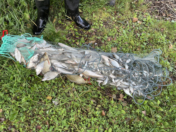 Kilpijärven koekalastus Kilpijärven koekalastus