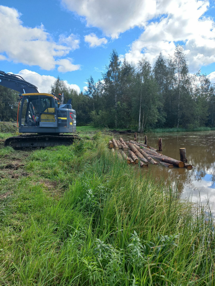 Ruonanojan kosteikko Ruonanojan kosteikko