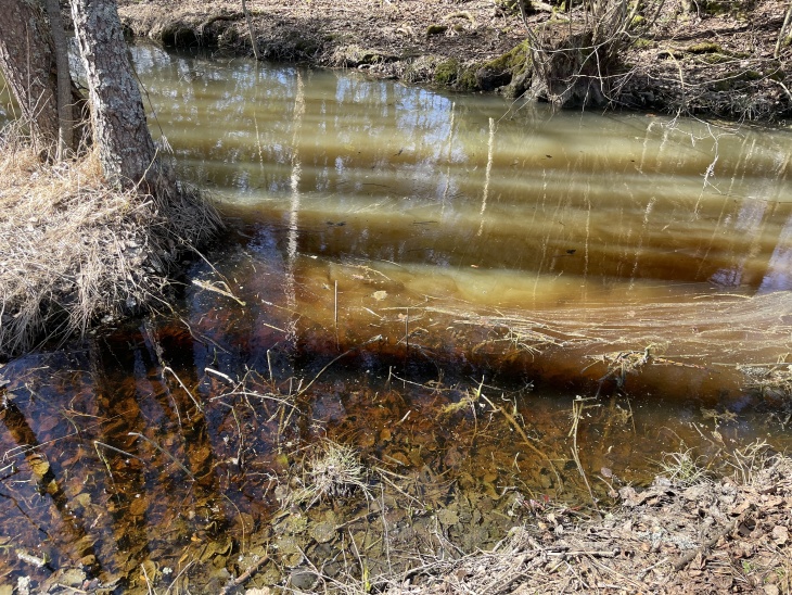 Kilpijärveen virtaa monentyyppisiä vesiä