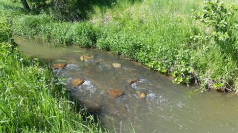 Ravinteet huuhtoutuvat järveen ojavesien mukana