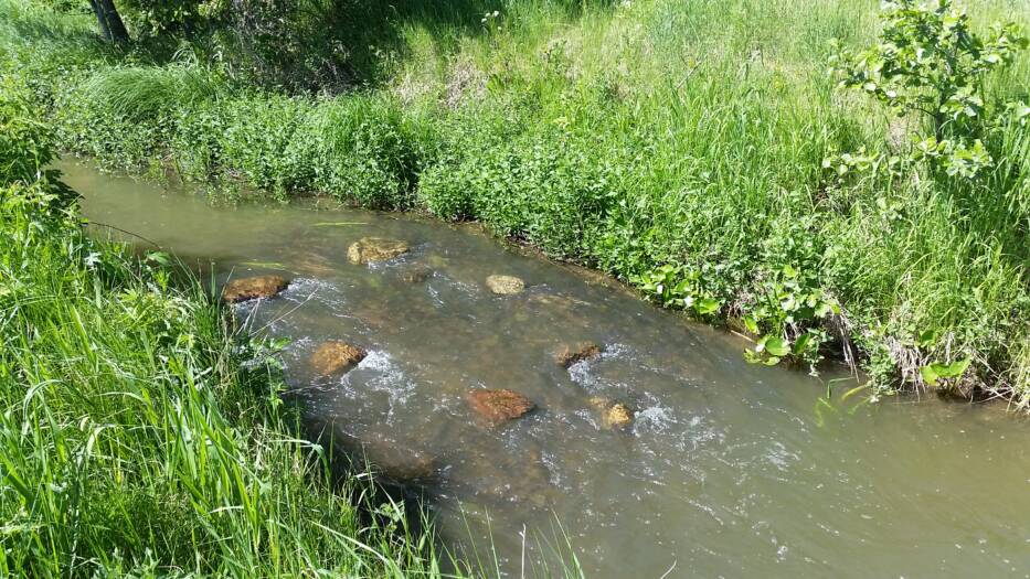 Ravinteet huuhtoutuvat järveen ojavesien mukana