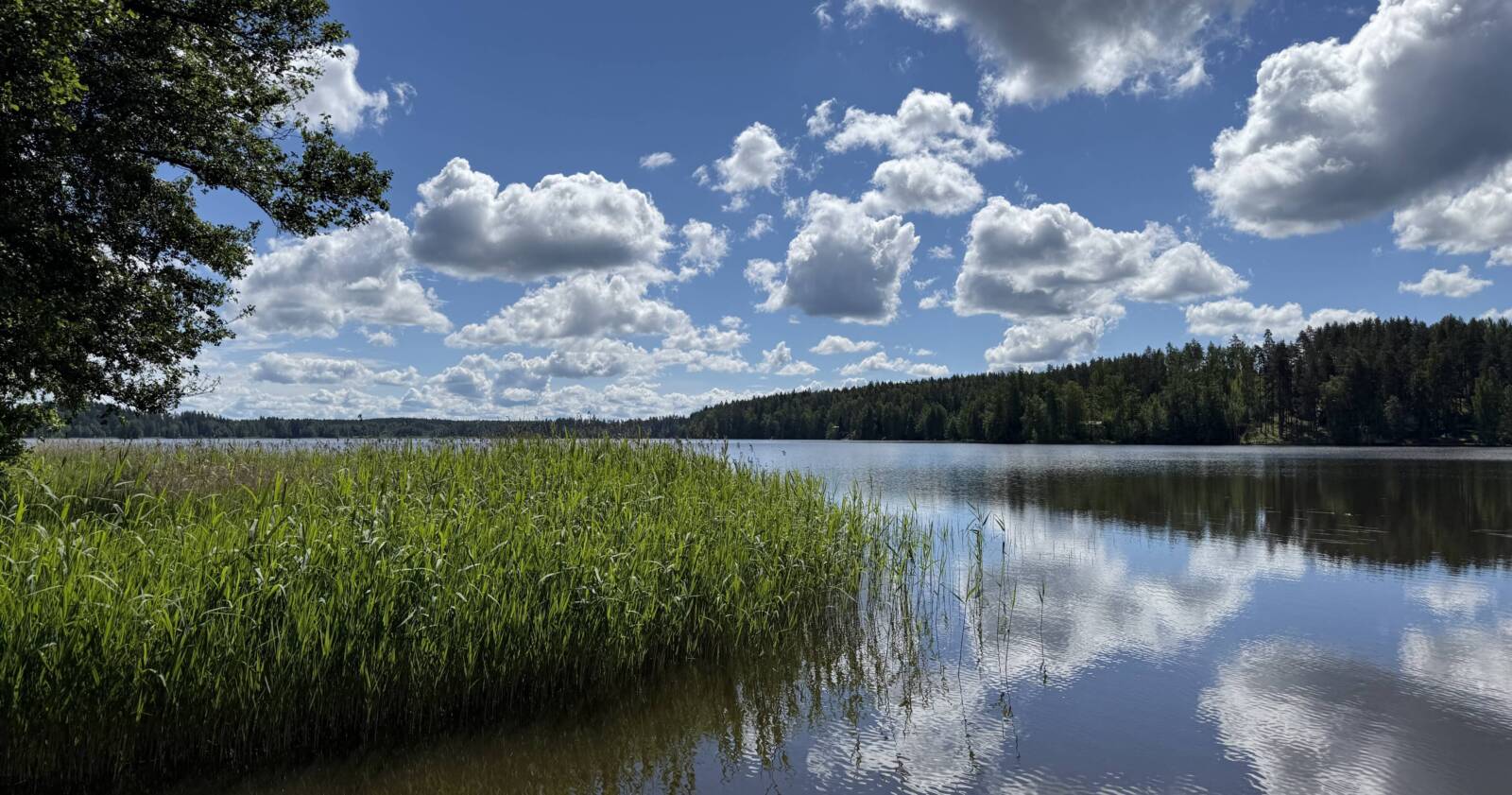 Kesäinen järvimaisema