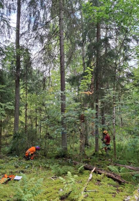 Luonnonhoitotyöt käynnissä