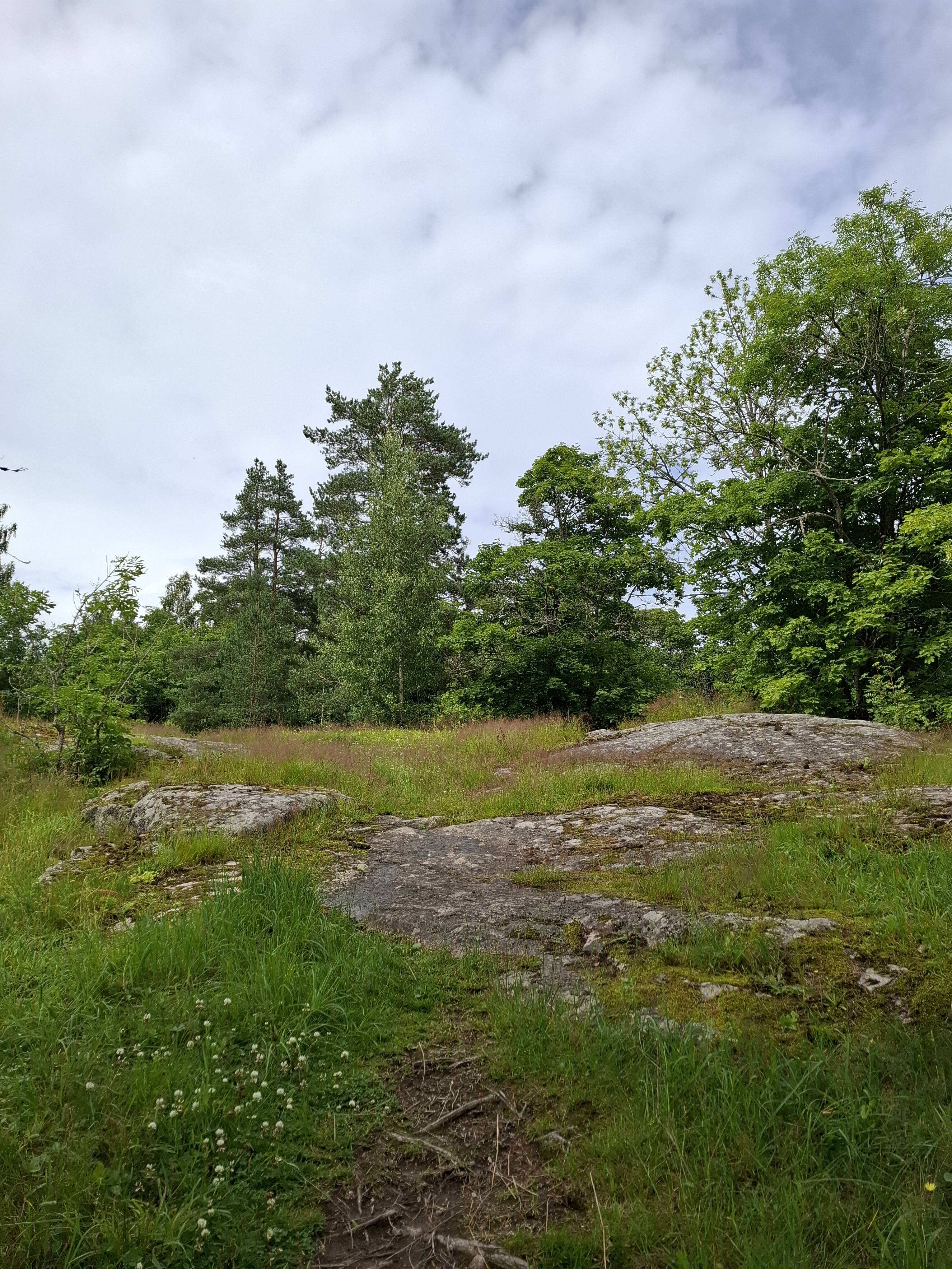 Luontonäkymä