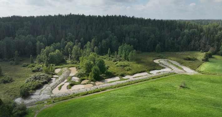 Puokan kosteikko